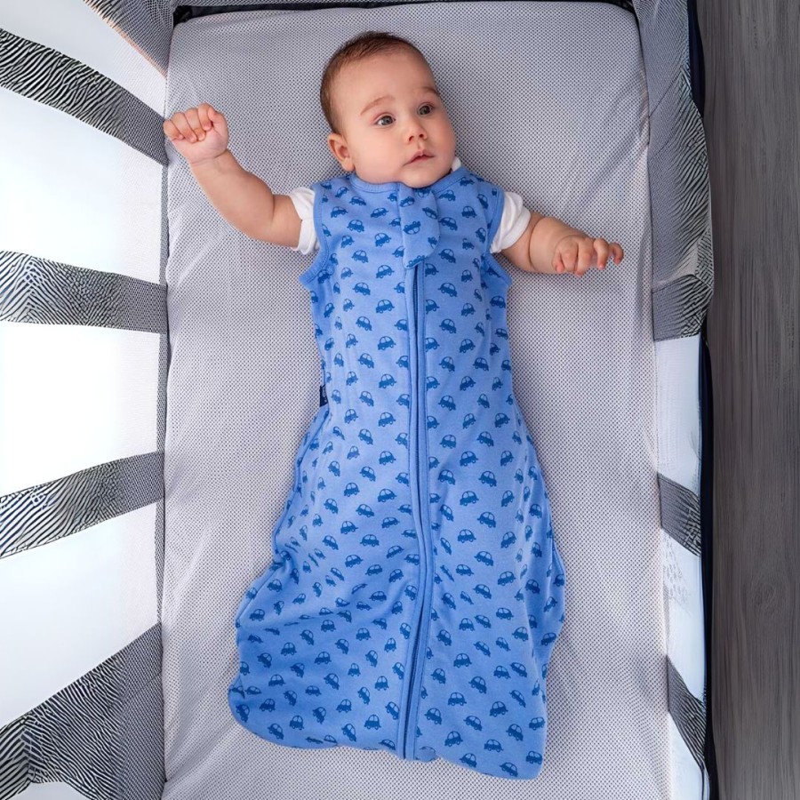 BabyBliss BlissSac Χειμωνιάτικος Υπνόσακος 2.5 tog VROOM Cars 0-6 μηνών