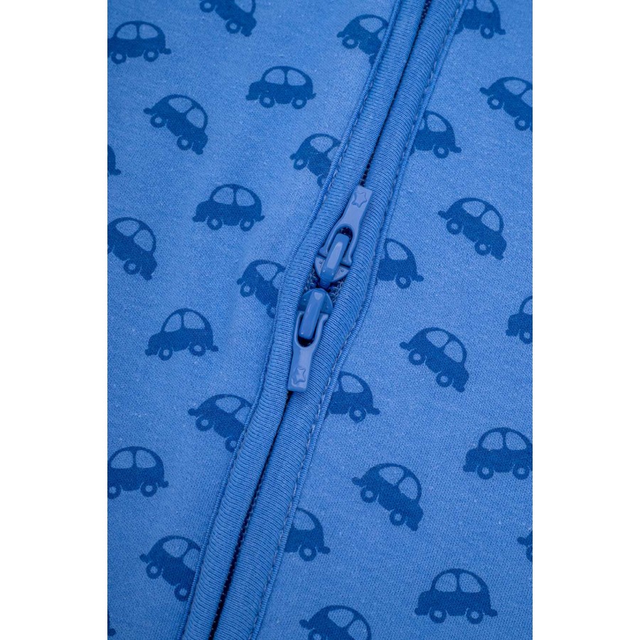 BabyBliss BlissSac Χειμωνιάτικος Υπνόσακος 2.5 tog VROOM Cars 0-6 μηνών