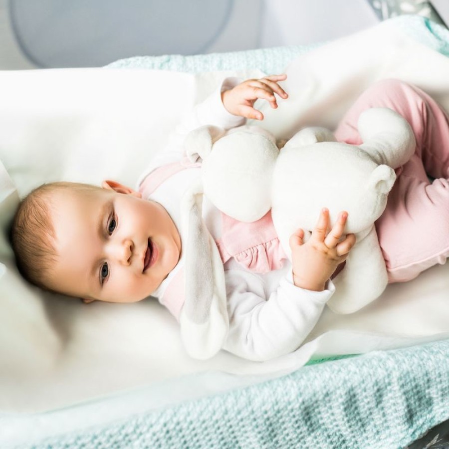 BabyOno Πολυχρηστικά Σελτεδάκια Μιας Xρήσης 40x60εκ. 10τμχ.