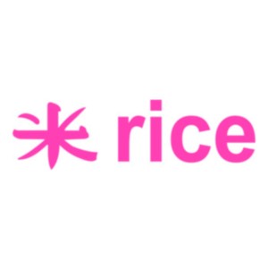 Rice Image