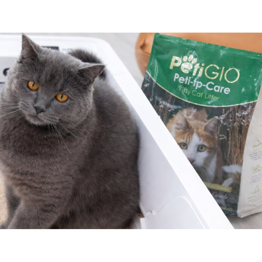 Petigio Φυσικη Αμμοσ Γατασ Tofu Natural