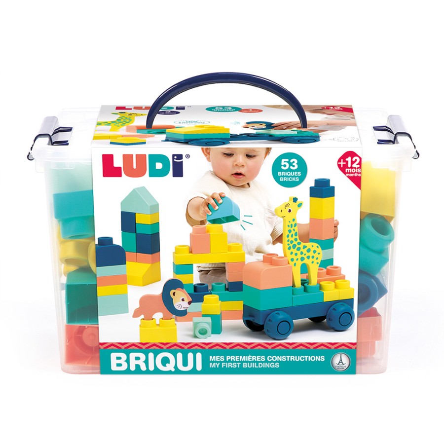 Ludi 53 Πολύχρωμα Τουβλάκια, 2 Ζωάκια & Όχημα σε Βαλιτσάκι