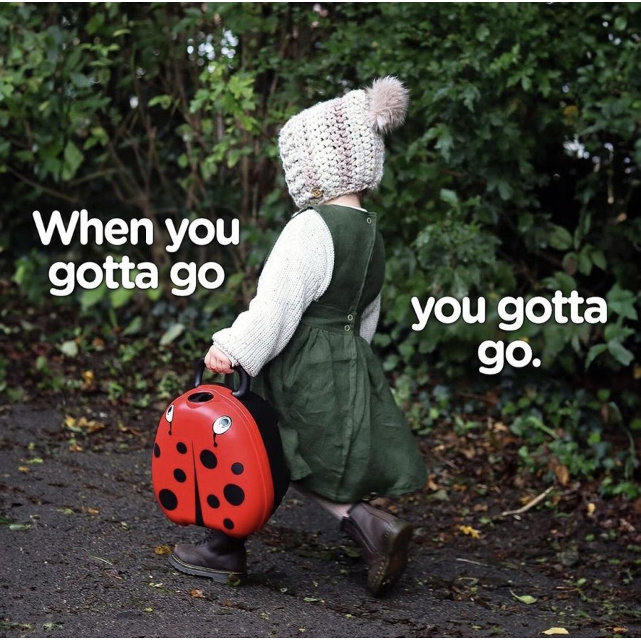 My Carry Potty Φορητό Γιογιό Ladybird Πασχαλίτσα