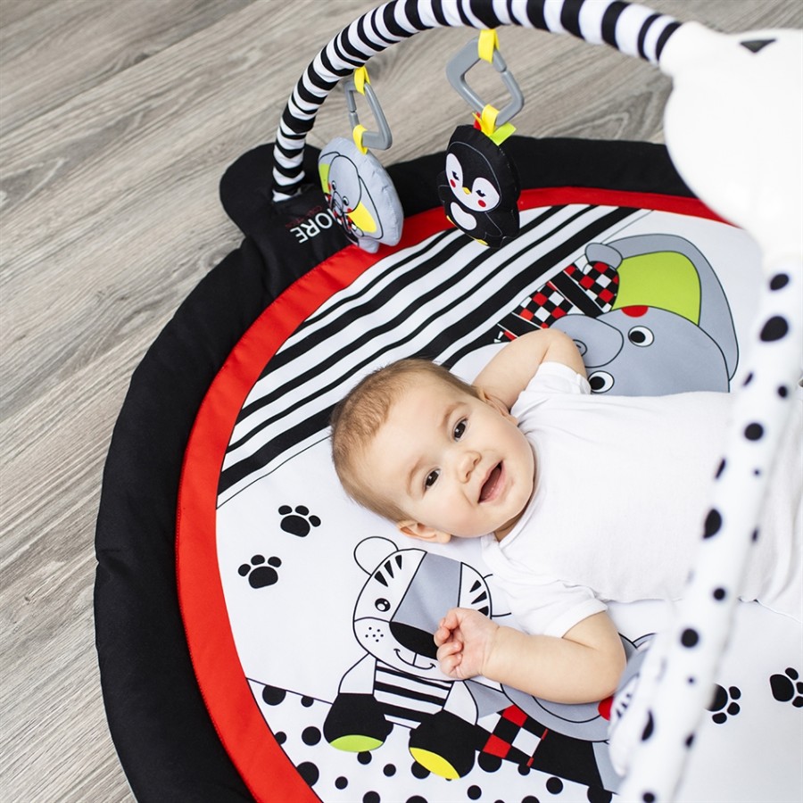 BabyOno Εκπαιδευτικό χαλάκι δραστηριοτήτων C More bn516