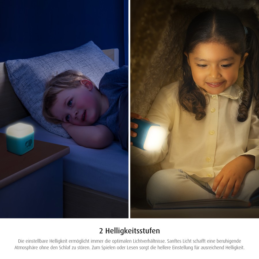Reer φωτάκι νυκτός LED 2 σε 1 siel   (52143)
