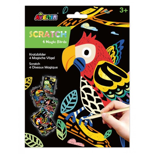 Avenir Βιβλίο Ζωγραφικής Scratch 4 Magic Birds