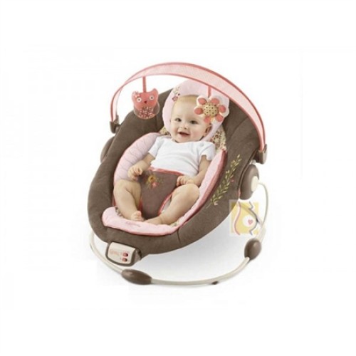 ΡΗΛΑΞ Cradling Bouncer 8003-5 Lulli Bllom BRIGHT STARTS