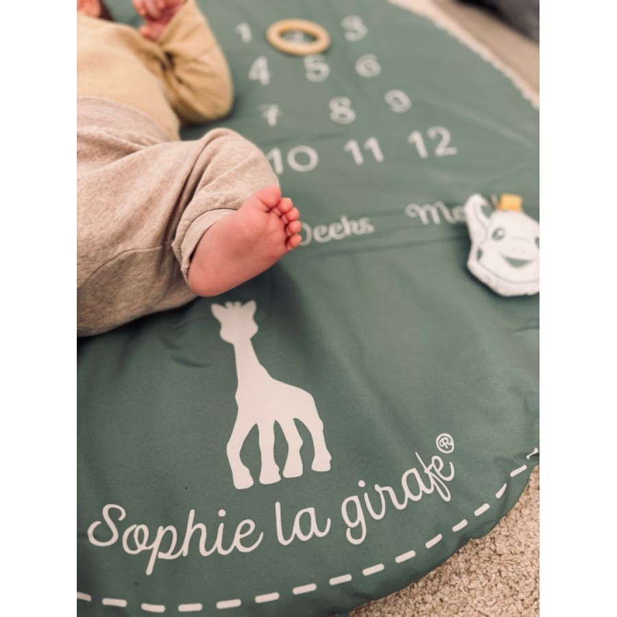Sophie Καμηλοπάρδαλη Βρεφικό Γυμναστήριο - Γυμναστήριο Δραστηριοτήτων 2 Όψεων