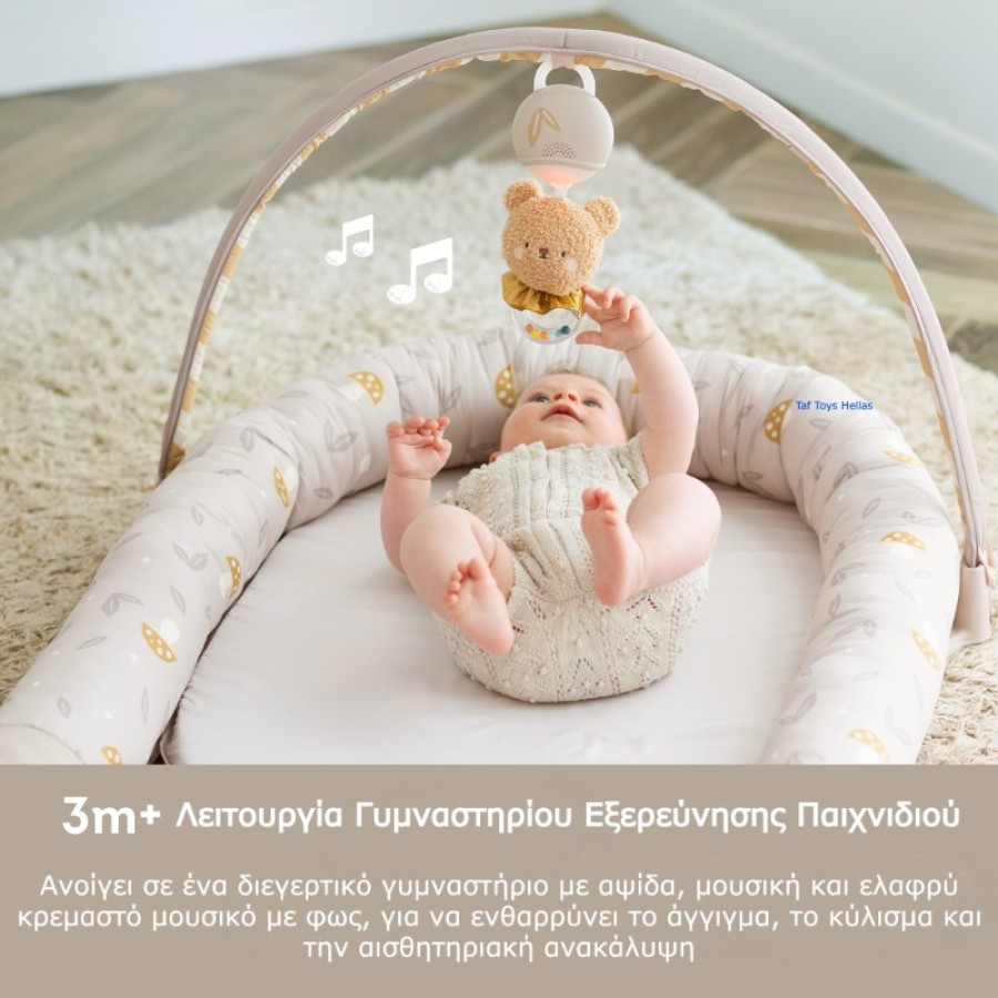 Βρεφική Φωλιά & Γυμναστήριο 2 σε 1 Taf Toys Little Explorer Lounger