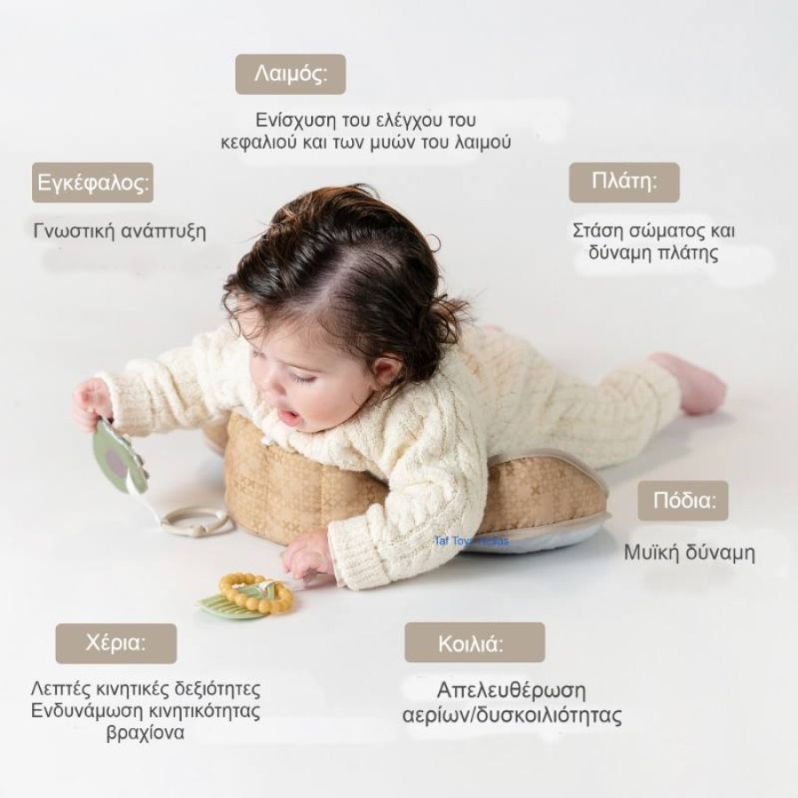 Taf Toys Μαξιλαράκι Βρεφικής Ανάπτυξης Bear Tummy Time Pillow