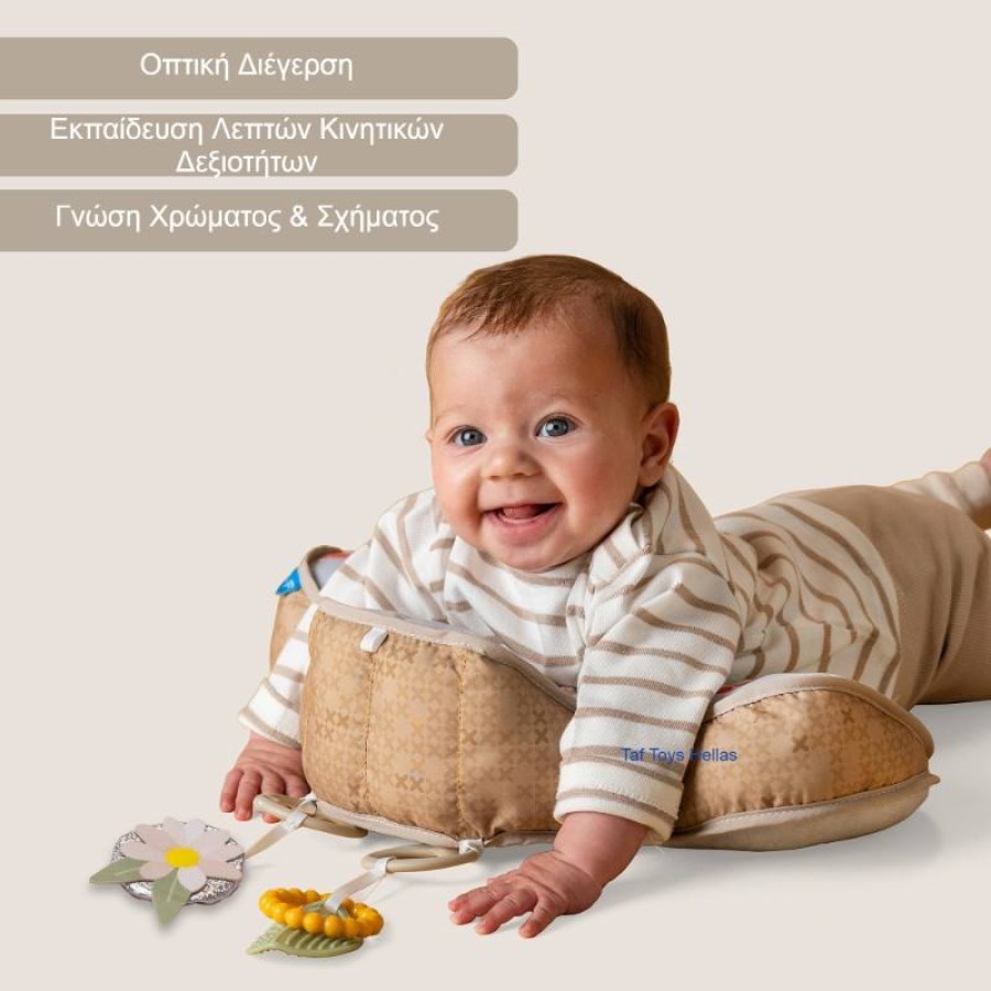 Taf Toys Μαξιλαράκι Βρεφικής Ανάπτυξης Bear Tummy Time Pillow