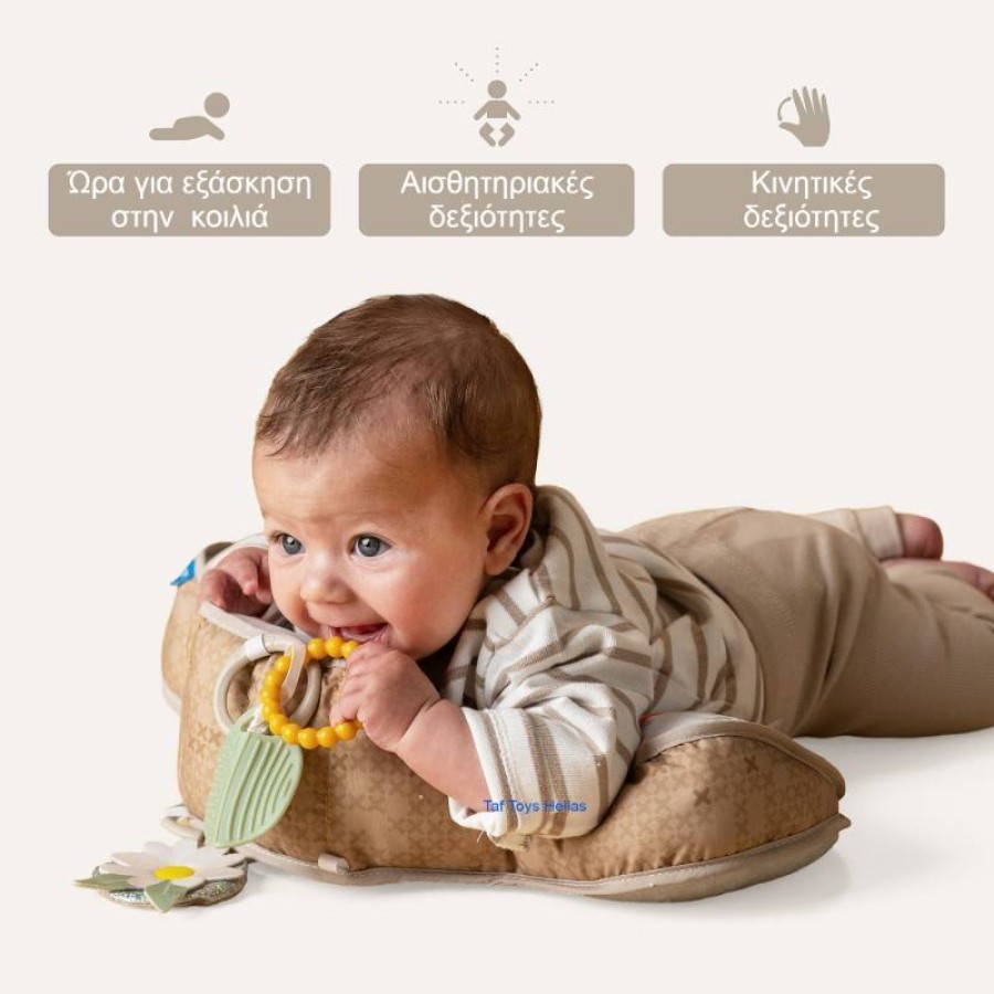 Taf Toys Μαξιλαράκι Βρεφικής Ανάπτυξης Bear Tummy Time Pillow