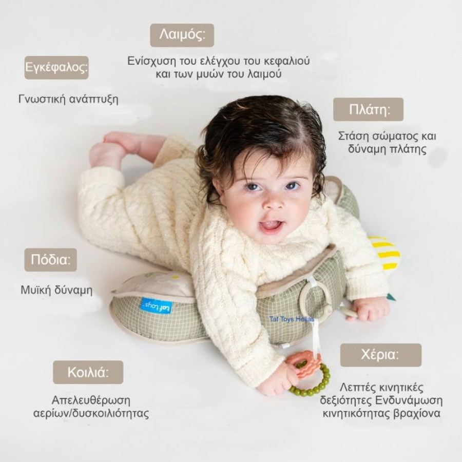 Taf Toys Μαξιλαράκι Βρεφικής Ανάπτυξης Panda Tummy Time Pillow
