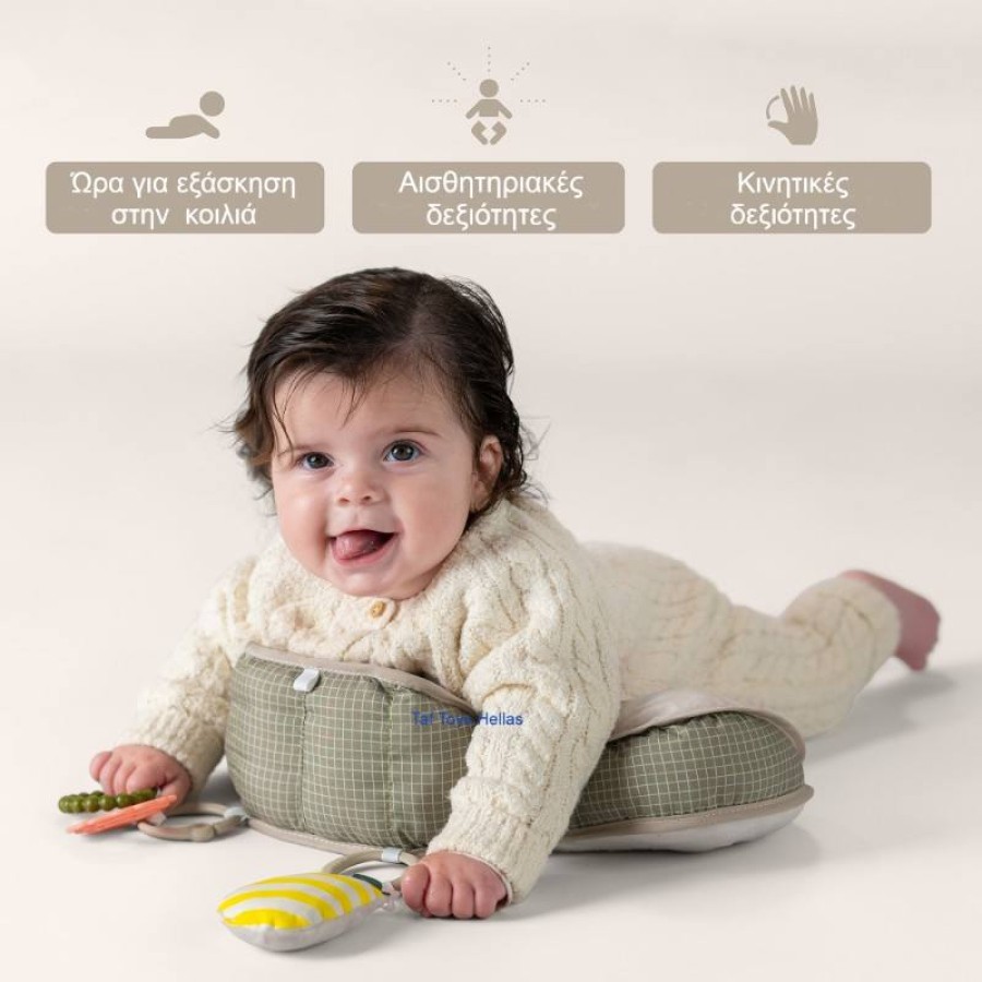 Taf Toys Μαξιλαράκι Βρεφικής Ανάπτυξης Panda Tummy Time Pillow