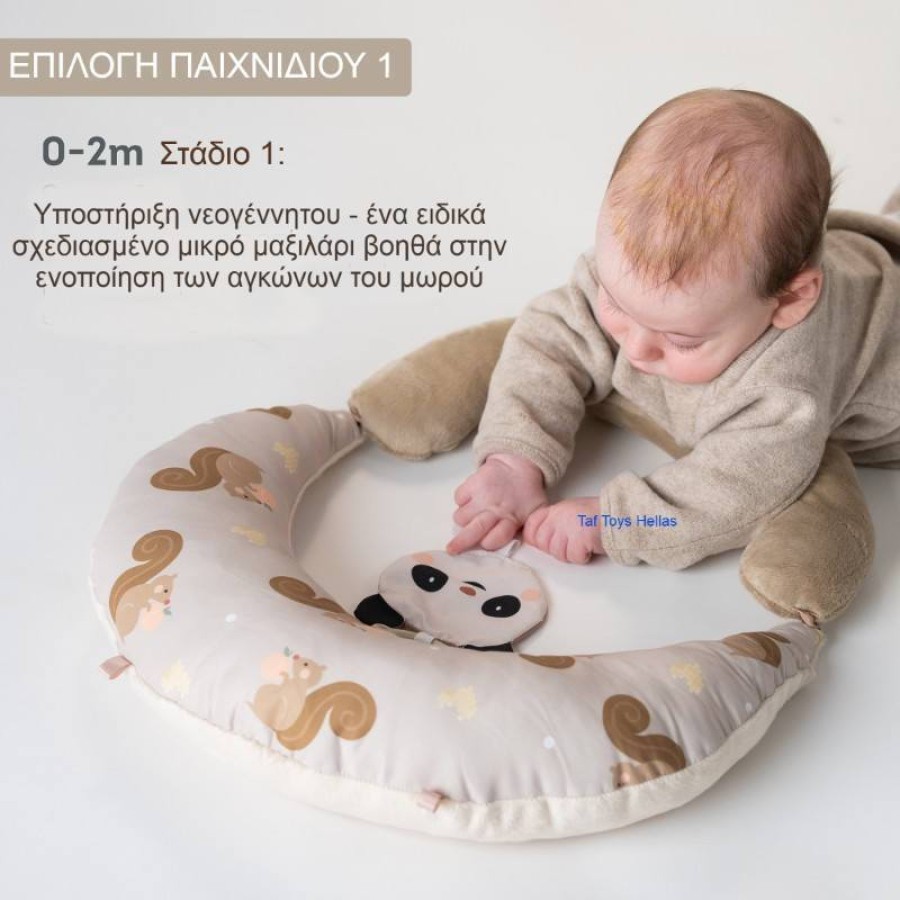 Taf Toys Βρεφικό Μαξιλάρι Δραστηριοτήτων Tummy Time