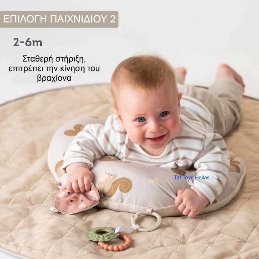 Taf Toys Βρεφικό Μαξιλάρι Δραστηριοτήτων Tummy Time