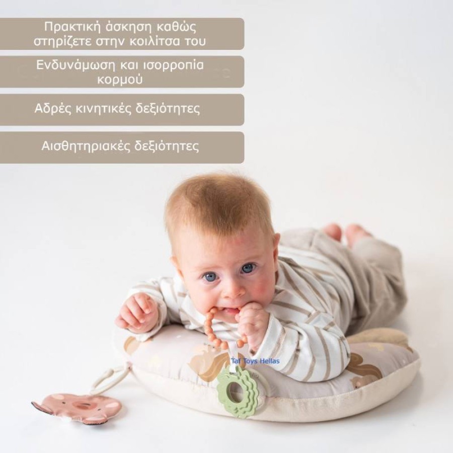 Taf Toys Βρεφικό Μαξιλάρι Δραστηριοτήτων Tummy Time