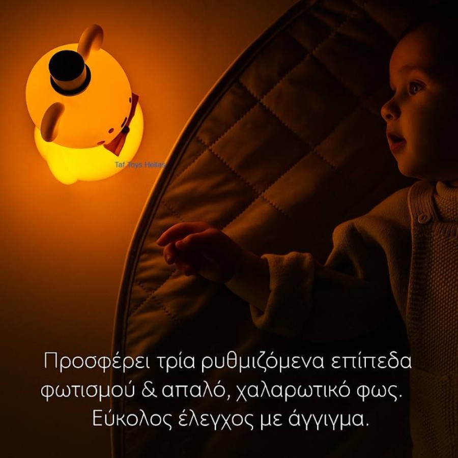 Taf Toys Παιδικό Φωτάκι Νυκτός Night Light Little Bear