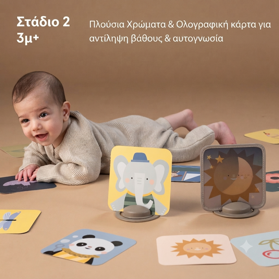 Βρεφικές κάρτες οπτικής ανάπτυξης Taf Toys My 1st Discoveries Flash Cards με καθρέφτη