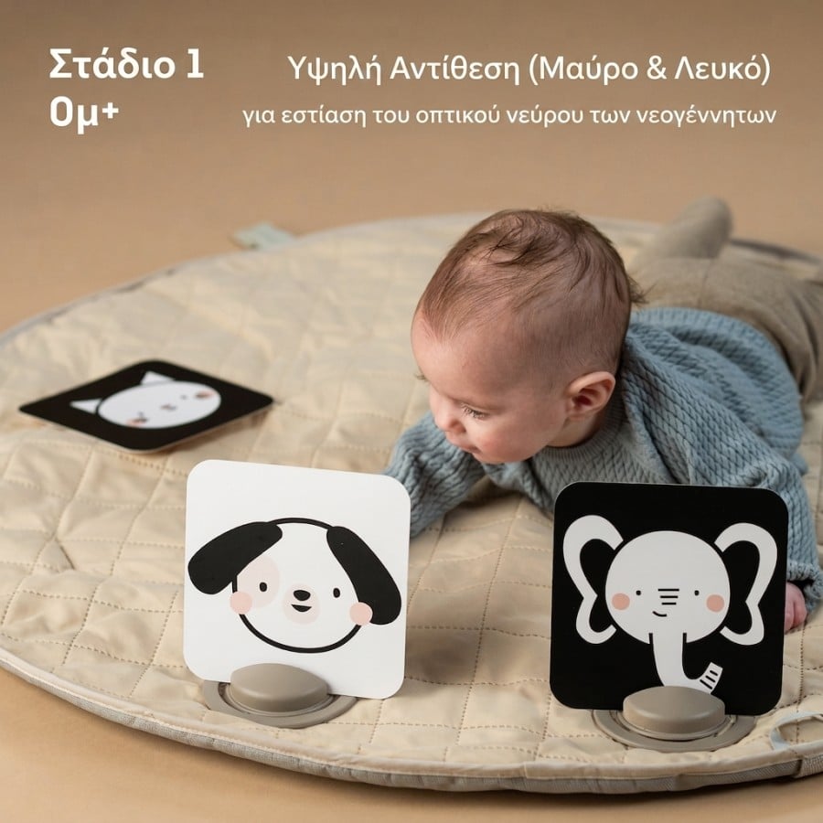 Βρεφικές κάρτες οπτικής ανάπτυξης Taf Toys My 1st Discoveries Flash Cards με καθρέφτη
