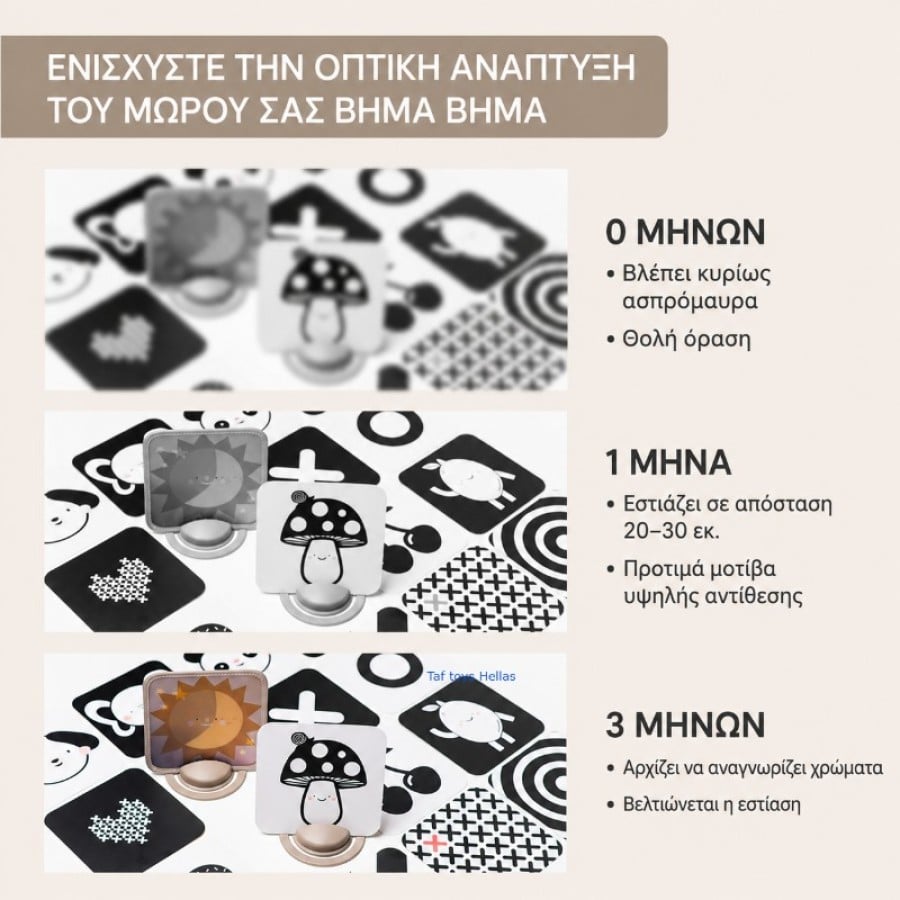 Βρεφικές κάρτες οπτικής ανάπτυξης Taf Toys My 1st Discoveries Flash Cards με καθρέφτη