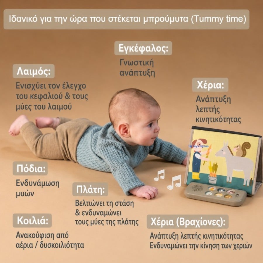 Μουσικό βιβλίο δραστηριοτήτων για tummy time – Taf Toys Farm Musical Tummy Time Book