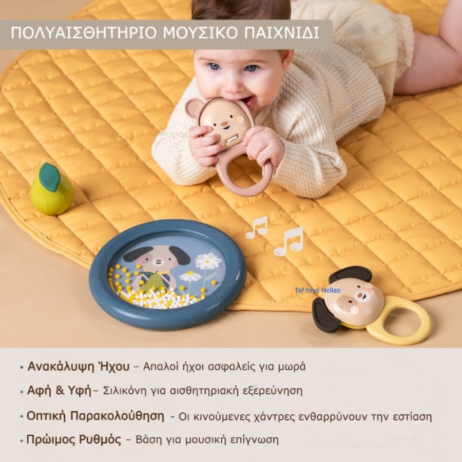 Βρεφικό Μουσικό Σετ 4 Παιχνιδιών TAF TOYS Musical Discovery Kit από 3 Μηνών