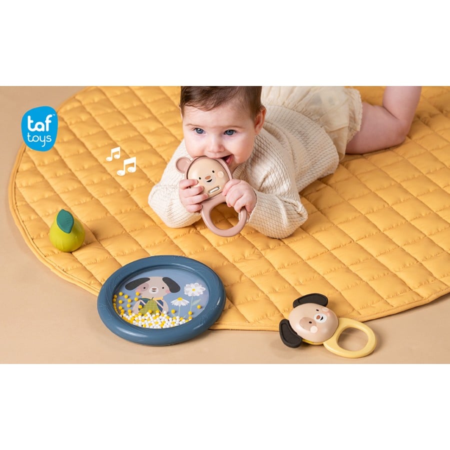 Βρεφικό Μουσικό Σετ 4 Παιχνιδιών TAF TOYS Musical Discovery Kit από 3 Μηνών