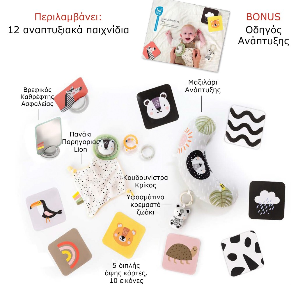 Taf Toys Σετ Δραστηριοτήτων Νεογέννητου Newborn Develop & Play - 1