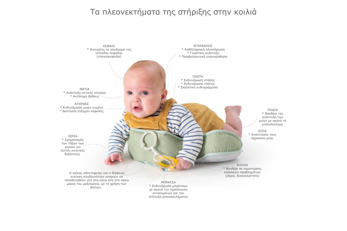 Taf Toys Μαξιλαράκι Βρεφικής Ανάπτυξης Tummy Time Pillow - 1