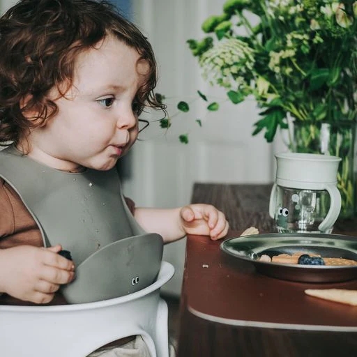Noui Noui Σαλιάρα Σιλικόνης Dusty Olive 4m+ - 1