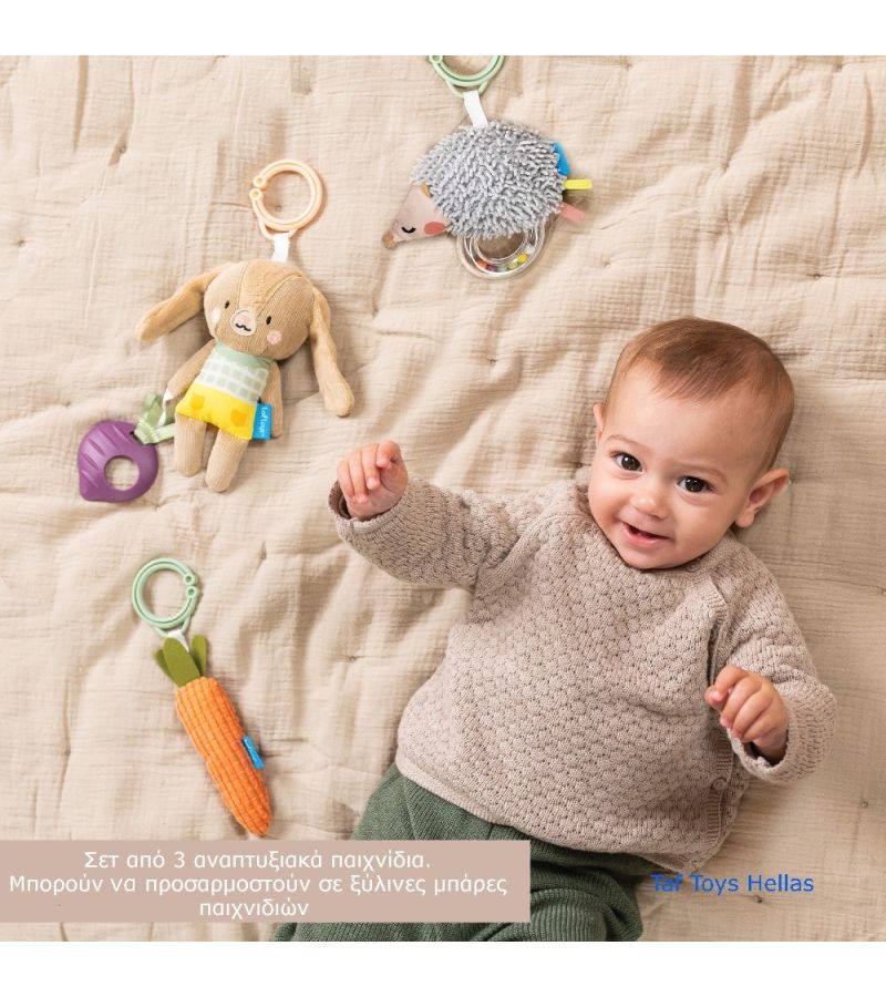 Taf Toys Σετ Παιχνιδιού για Nεογέννητο Activity Toys Kit - 2