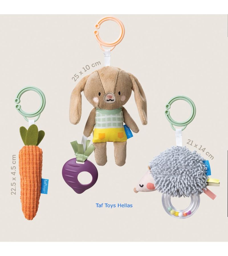 Taf Toys Σετ Παιχνιδιού για Nεογέννητο Activity Toys Kit - 1