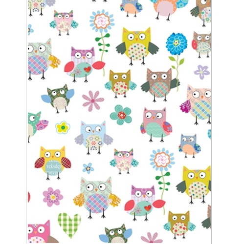G & F Fun Creation Ευχετήρια Κάρτα Γενική Κουκουβάγιες 10,5x8cm - 1