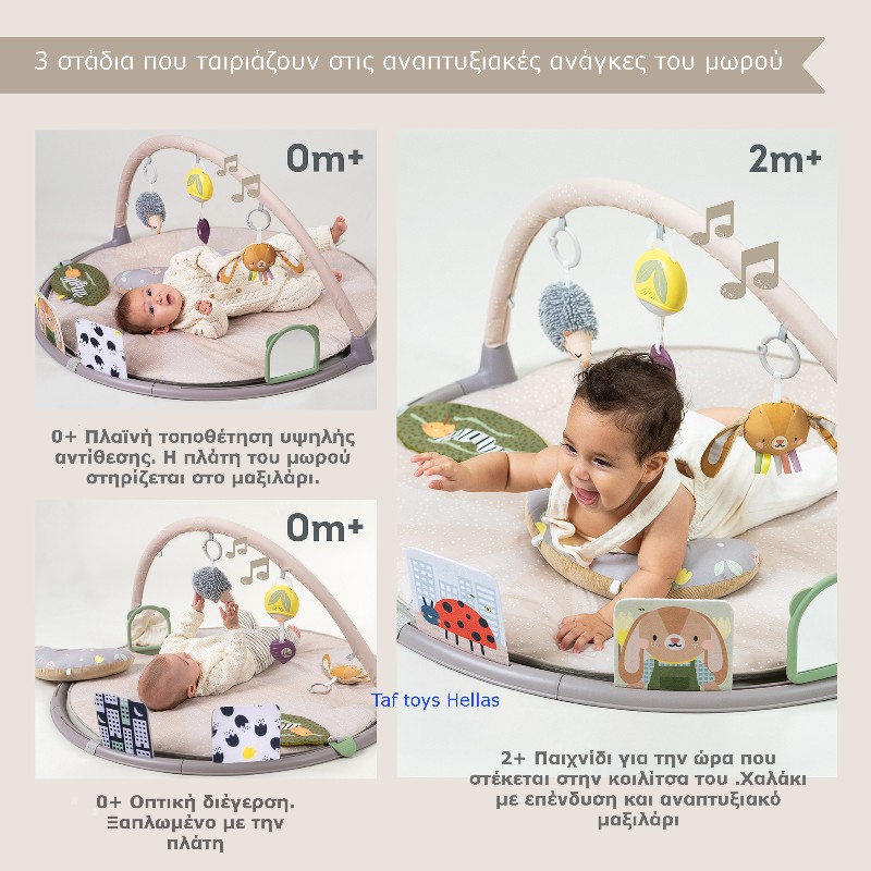 Taf Toys Βρεφικό Γυμναστήριο - Χαλάκι Δραστηριοτήτων Tummy Time - 1