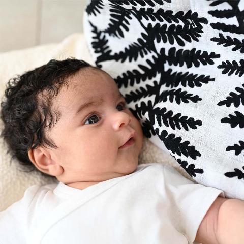 Etta Loves Μουσελίνα από Βιολογικό Βαμβάκι Fern 120x120εκ. - 1