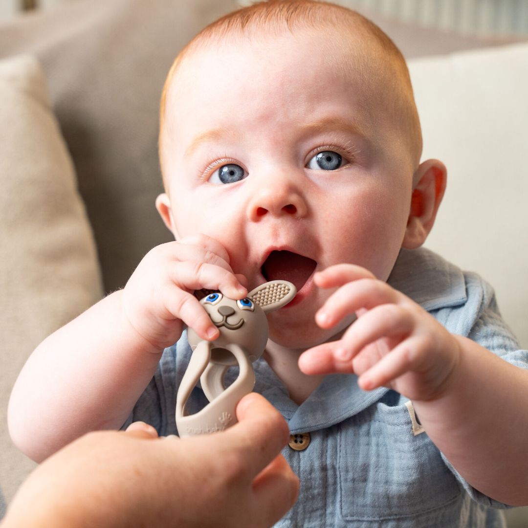 Brush-Baby Μασητικό Ιδανικό για την Ανακούφιση της Οδοντοφυΐας 0-3 ετών Bobbie Bunny Cappuccino - 1