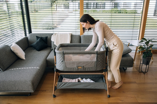FreeOn Λίκνο/Κάθισμα Φαγητού Nest & Feed 2-in-1 Grey - 1
